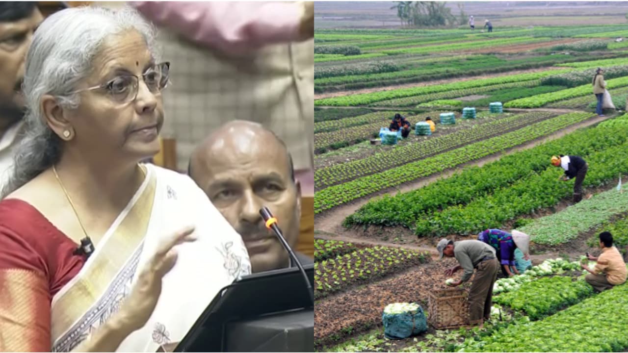 കർഷകർക്ക് കരുതൽ; 100 ജില്ലകള്‍ കേന്ദ്രീകരിച്ച് വികസനം, കിസാന്‍ ക്രെഡിറ്റ് കാര്‍ഡ് വായ്പാ പരിധി 5 ലക്ഷമാക്കി 