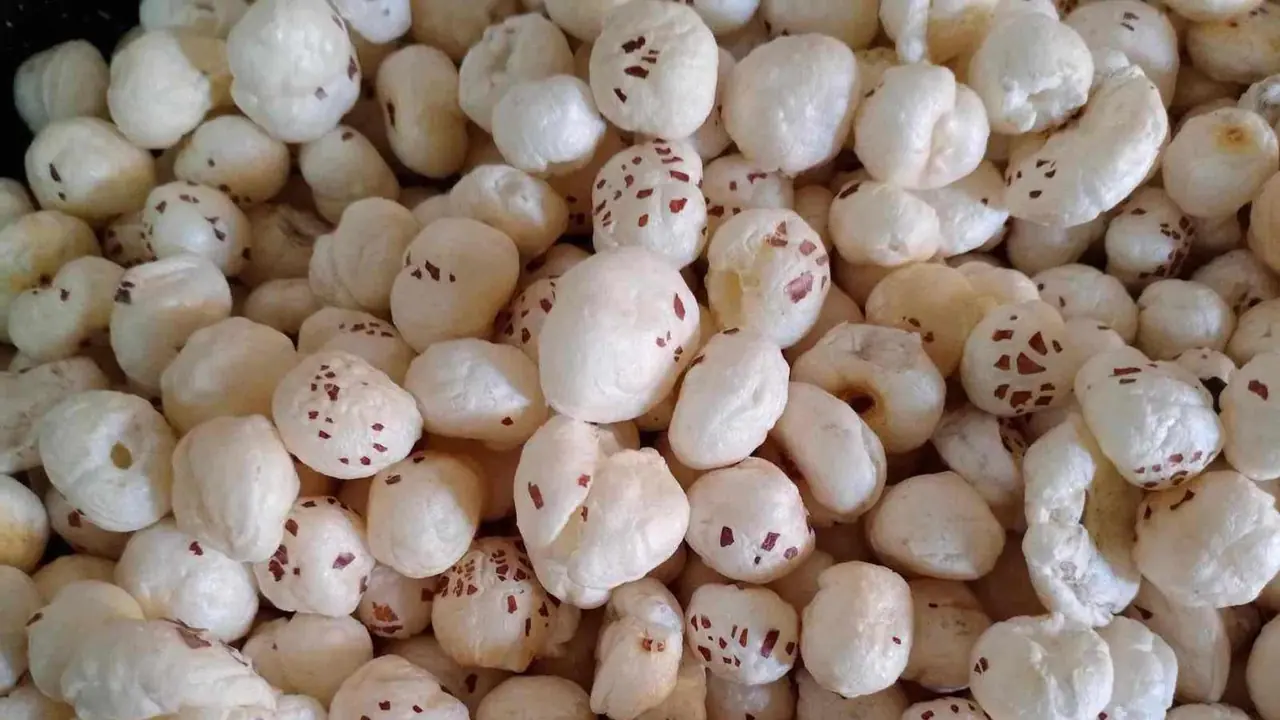 मखाना डिश मखाना डिश