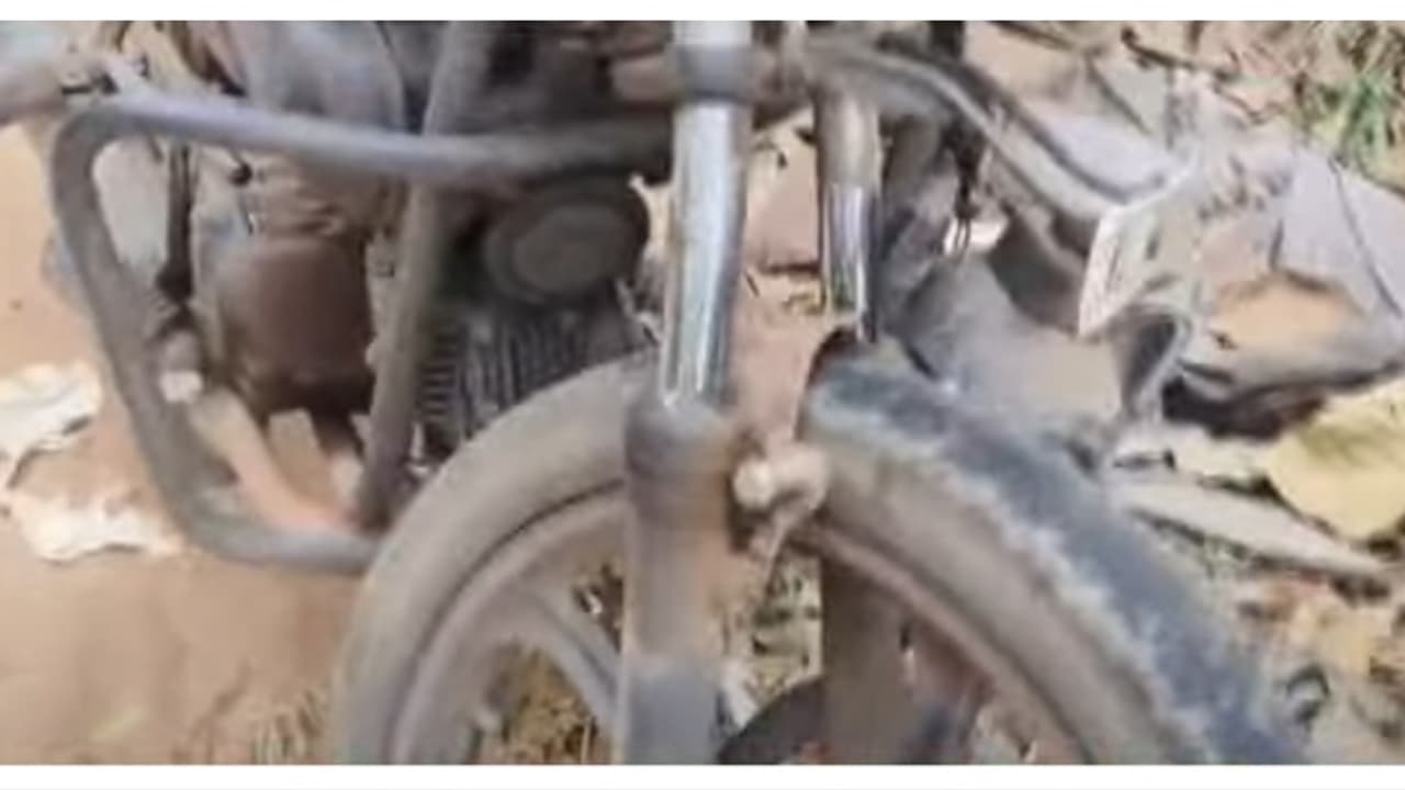 മലപ്പുറം വണ്ടൂരിൽ കാട്ടുപന്നി ബൈക്ക് കുത്തിമറിച്ചിട്ടു, യാത്രക്കാരന് പരിക്ക്