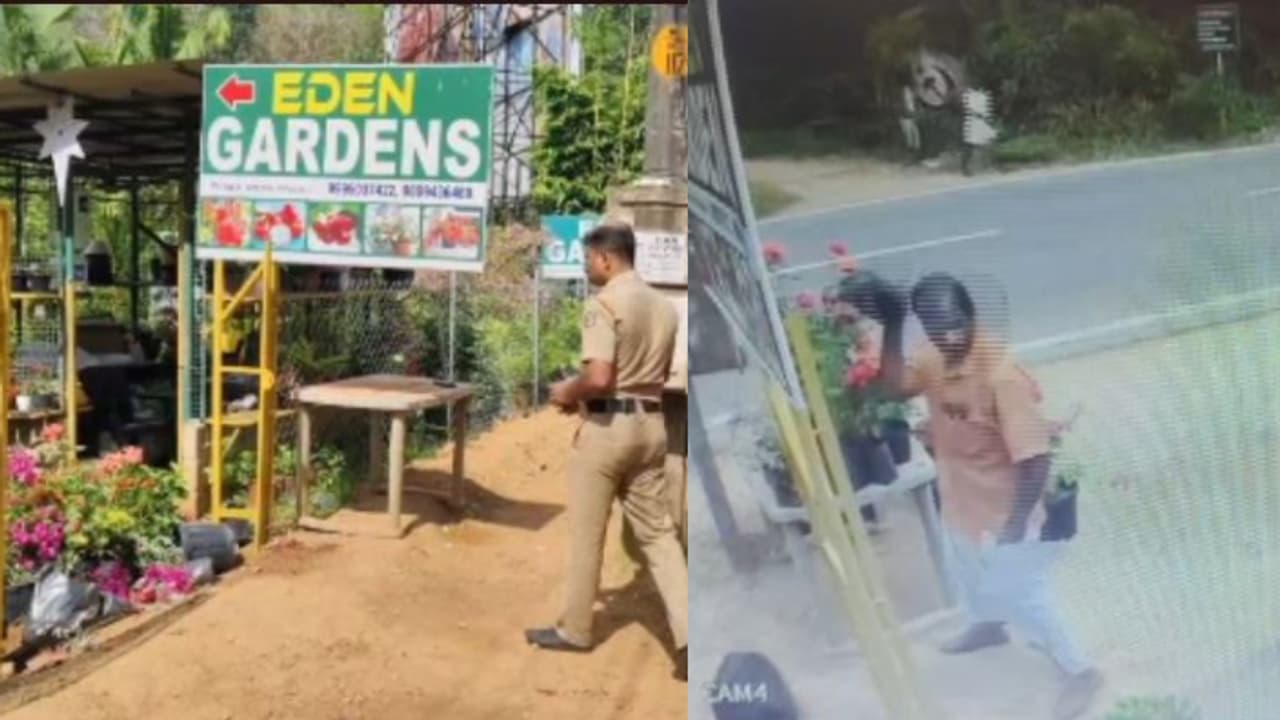 കടക്ക് മുന്നിലെ ചട്ടി മാറ്റണം, ആക്രോശിച്ച് ചെടിച്ചട്ടിയെടുത്ത് എറിഞ്ഞ് ബിജെപി പഞ്ചായത്തംഗം; ഉടമയക്ക് മർദനം