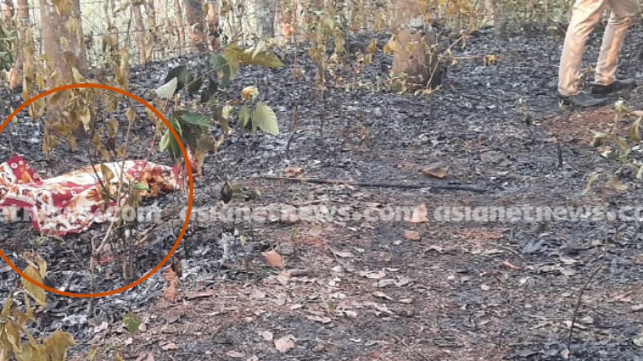 വീടിനടുത്തെ റബ്ബർ തോട്ടത്തിൽ തീപിടിച്ചു, നാട്ടുകാർക്കൊപ്പം തീയണക്കാനിറങ്ങിയ വീട്ടമ്മ പൊള്ളലേറ്റ് മരിച്ചു