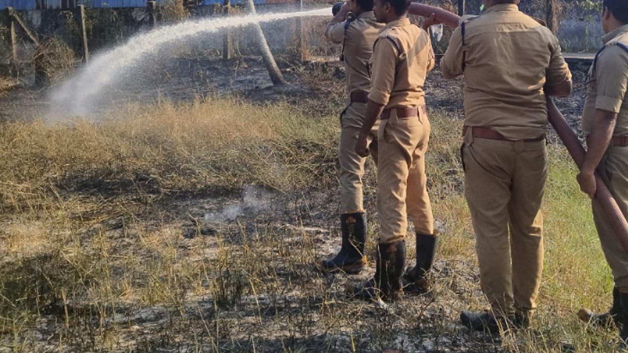 പച്ച പുല്ല് വളര്‍ന്ന പുരയിടത്തിൽ ഉച്ചകഴിഞ്ഞ് 4 മണിയോടെ അപ്രതീക്ഷിത തീ, പരിഭ്രാന്തരായി ജനം, അണച്ച് ഫയർഫോഴ്സ്