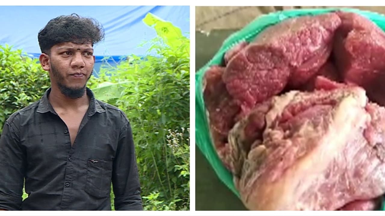 സരുൺ സജിക്കെതിരായ കള്ളക്കേസ്: വനംവകുപ്പ് ഉദ്യോഗസ്ഥരെ വിചാരണ ചെയ്യാൻ സർക്കാർ അനുമതി, കുറ്റപത്രം ഉടന് സരുൺ സജിക്കെതിരായ കള്ളക്കേസ്: വനംവകുപ്പ് ഉദ്യോഗസ്ഥരെ വിചാരണ ചെയ്യാൻ സർക്കാർ അനുമതി, കുറ്റപത്രം ഉടന്