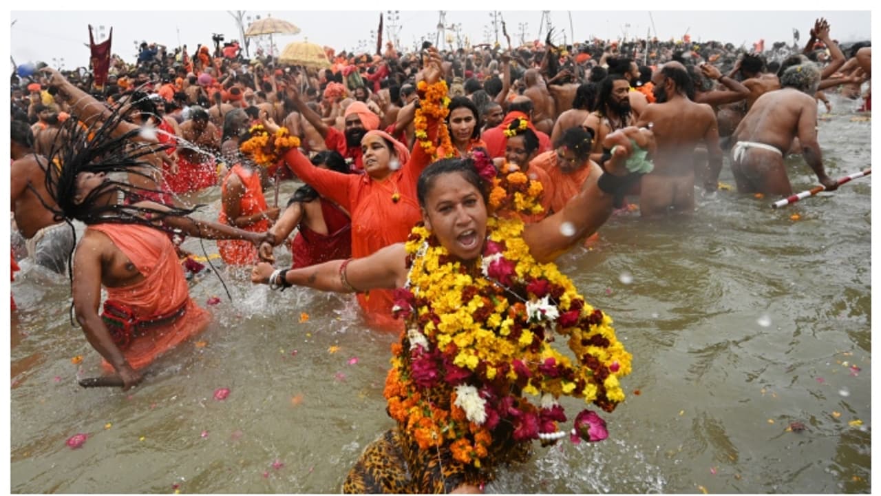 Mahakumbh souvenirs featuring fruit saplings and plants sent to Russia, Germany, France, Israel, and Italy Mahakumbh souvenirs featuring fruit saplings and plants sent to Russia, Germany, France, Israel, and Italy