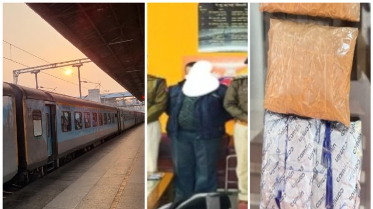 ശതാബ്ദി എക്സ്പ്രസിൽ വരികയായിരുന്ന 3 യുവാക്കൾ, പൊലീസിനെ കണ്ടതും പരിഭ്രമം; ബാഗ് നോക്കിയപ്പോൾ അര കോടിയുടെ സ്വർണം ശതാബ്ദി എക്സ്പ്രസിൽ വരികയായിരുന്ന 3 യുവാക്കൾ, പൊലീസിനെ കണ്ടതും പരിഭ്രമം; ബാഗ് നോക്കിയപ്പോൾ അര കോടിയുടെ സ്വർണം