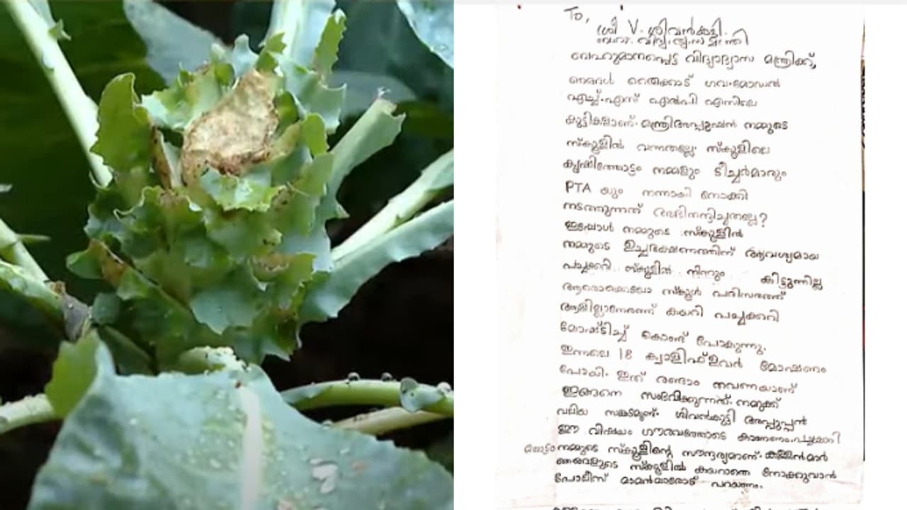 '18 ക്വാളിഫ്ലവർ മോഷ്ടിച്ചു, സിസിടിവി വേണം മന്ത്രിയപ്പൂപ്പാ' ;ഒടുവിൽ കുട്ടിക്കർഷകർക്ക് മറുപടി നൽകി മന്ത്രി '18 ക്വാളിഫ്ലവർ മോഷ്ടിച്ചു, സിസിടിവി വേണം മന്ത്രിയപ്പൂപ്പാ' ;ഒടുവിൽ കുട്ടിക്കർഷകർക്ക് മറുപടി നൽകി മന്ത്രി