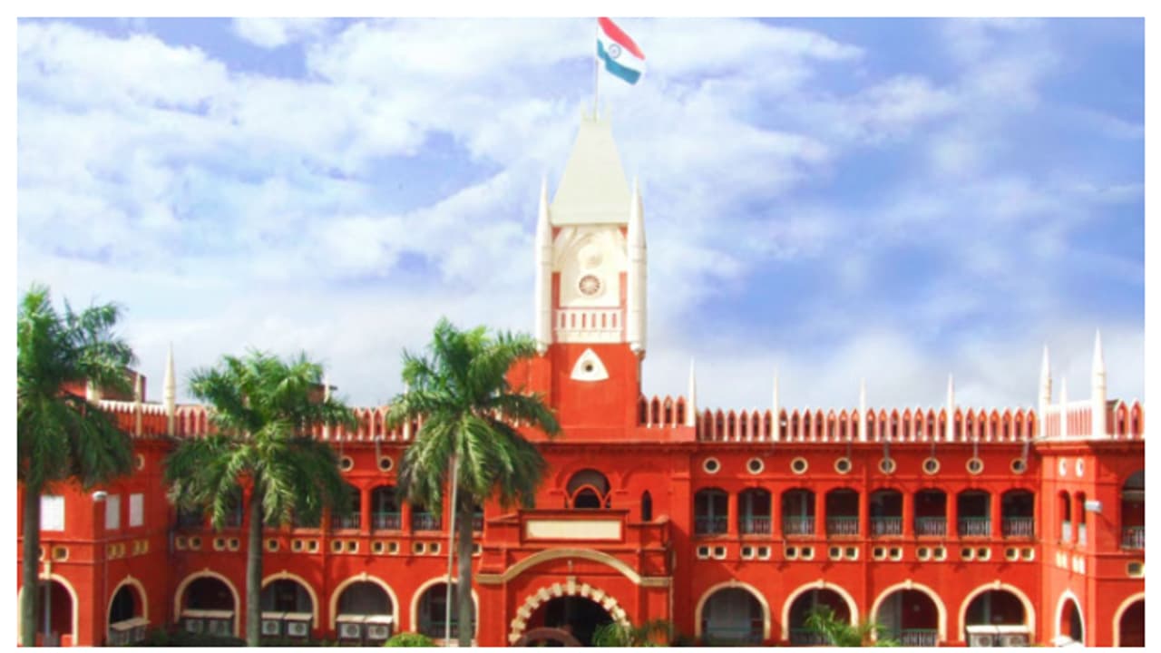  200 മരത്തൈകള്‍ വെച്ചു പിടിപ്പിക്കണം, 2 വര്‍ഷം പരിപാലിക്കണം; മോഷ്ടാവിന് ജാമ്യം നല്‍കി ഒറിസ ഹൈക്കോടതി