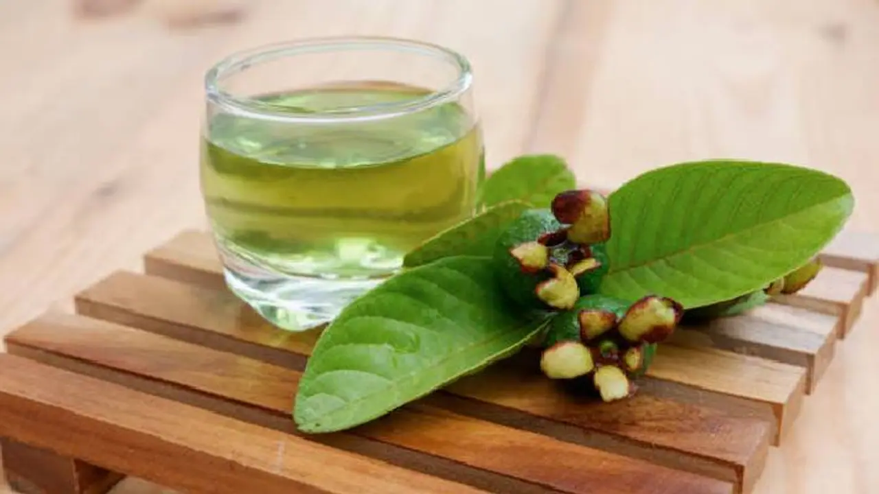 guava leaf tea