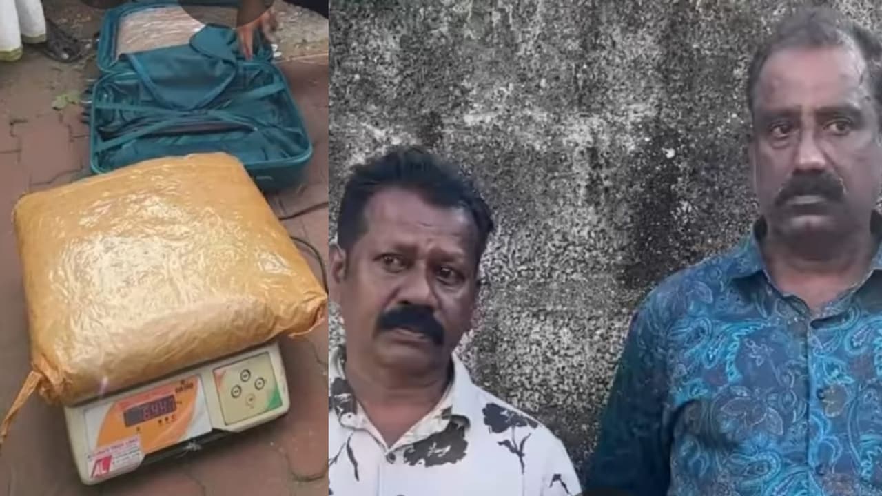 നാട്ടിലേക്ക് ട്രെയിനില് 12.5 കിലോ കഞ്ചാവ് കടത്തി ; ആർഎസ്എസ് സിഐടിയു പ്രവർത്തകർ തിരുവനന്തപുരത്ത് അറസ്റ്റിൽ നാട്ടിലേക്ക് ട്രെയിനില് 12.5 കിലോ കഞ്ചാവ് കടത്തി ; ആർഎസ്എസ് സിഐടിയു പ്രവർത്തകർ തിരുവനന്തപുരത്ത് അറസ്റ്റിൽ