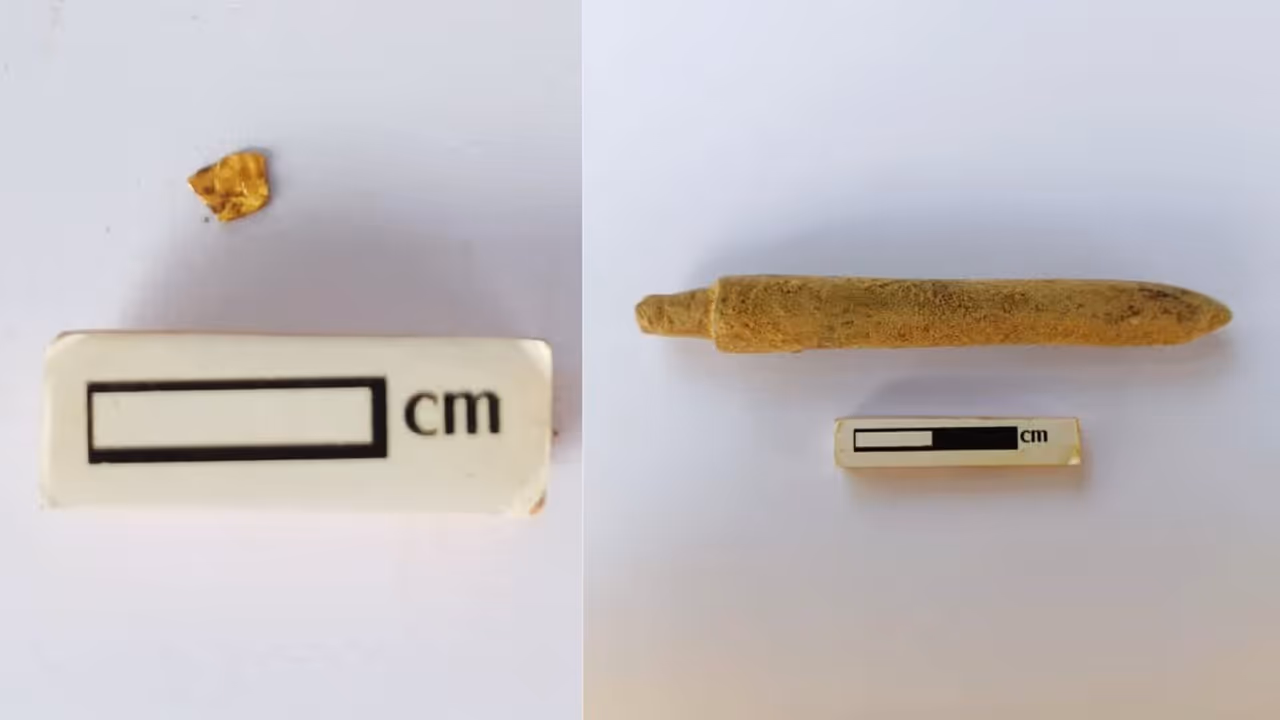 பழந்தமிழர்கள் பயன்படுத்திய 'எலும்பு முனைக் கருவி' கண்டெடுப்பு: தங்கம் தென்னரசு தகவல்