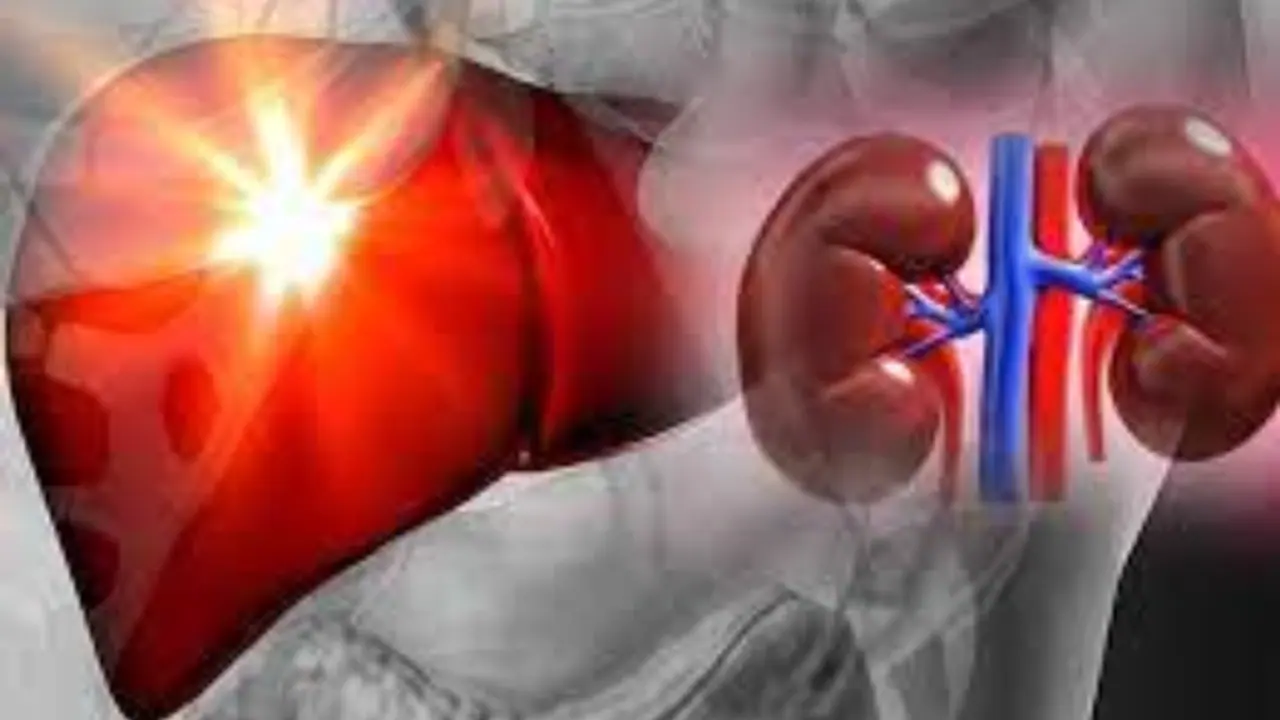 kidney and liver health kidney and liver health