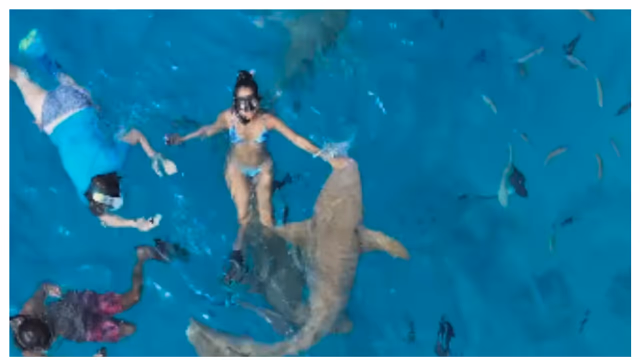 മാലിദ്വീപിലെ അവധി ആഘോഷത്തിനിടെ യുവതിയെ സ്രാവ് കടിച്ചു, സ്രാവ് തെറ്റിദ്ധരിച്ചെന്ന് പോസ്റ്റ്; വൈറലായി വീഡിയോ