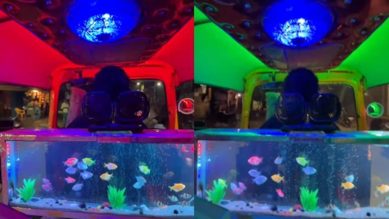 ഈ ഓട്ടോക്കാരുടെ ഒരു കാര്യം, മീൻകുഞ്ഞുങ്ങളല്ലേ ഈ നീന്തിക്കളിക്കുന്നത്; വൈറലായി പൂനെയിൽ നിന്നുള്ള ദൃശ്യം ഈ ഓട്ടോക്കാരുടെ ഒരു കാര്യം, മീൻകുഞ്ഞുങ്ങളല്ലേ ഈ നീന്തിക്കളിക്കുന്നത്; വൈറലായി പൂനെയിൽ നിന്നുള്ള ദൃശ്യം