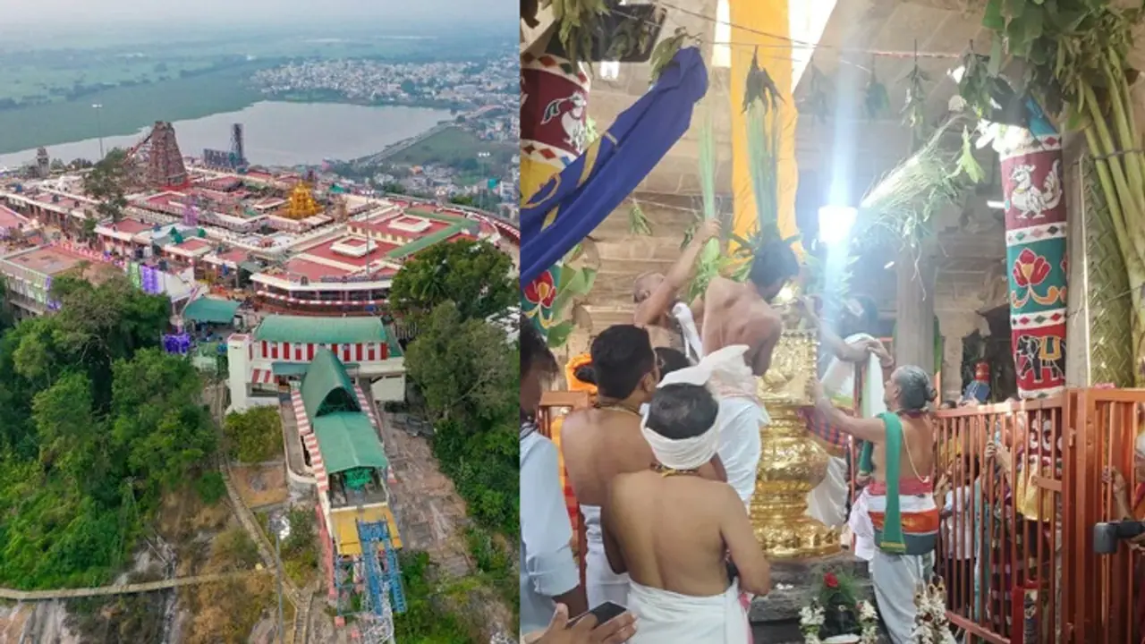 பழனி தைப்பூச விழா! விண்ணை முட்டிய அரோகரா கோஷத்துடன் கொடியேற்றம்! பழனி தைப்பூச விழா! விண்ணை முட்டிய அரோகரா கோஷத்துடன் கொடியேற்றம்!