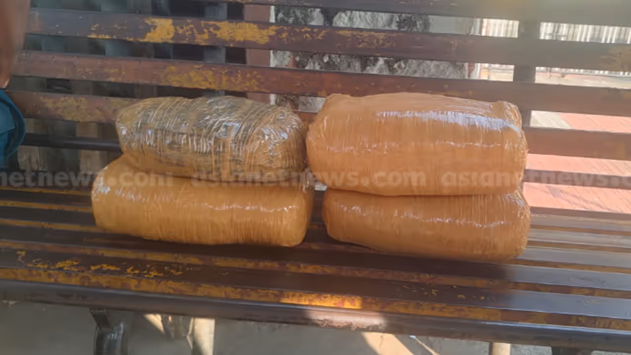 തൃശ്ശൂരിലെത്തിയ ട്രെയിനിനുള്ളിൽ ഉപേക്ഷിക്കപ്പെട്ട നിലയിൽ ഭാരമുള്ള ബാഗ്; തുറന്നപ്പോൾ കണ്ടത് 197 കിലോ കഞ്ചാവ് തൃശ്ശൂരിലെത്തിയ ട്രെയിനിനുള്ളിൽ ഉപേക്ഷിക്കപ്പെട്ട നിലയിൽ ഭാരമുള്ള ബാഗ്; തുറന്നപ്പോൾ കണ്ടത് 197 കിലോ കഞ്ചാവ്