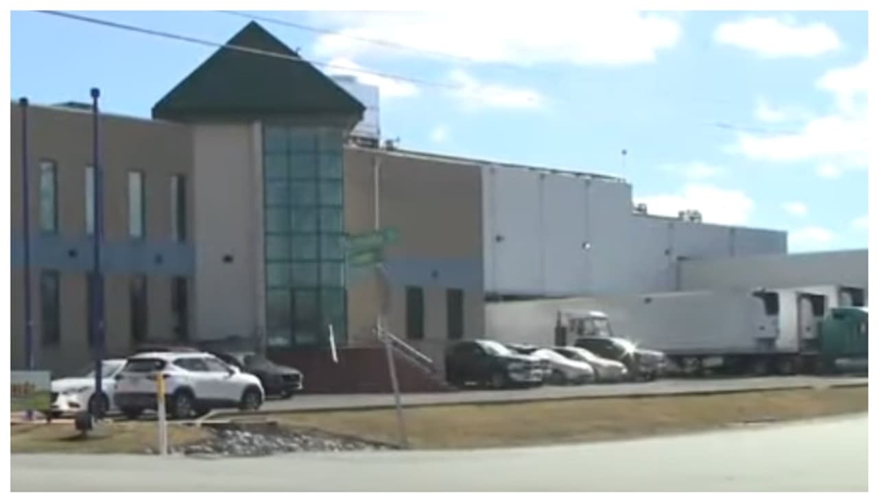 35 ലക്ഷം രൂപ വിലയുള്ള ഒരു ലക്ഷം കോഴി മുട്ടകൾ മോഷണം പോയി; യുഎസില്‍ വിചിത്രമായ കേസ് 