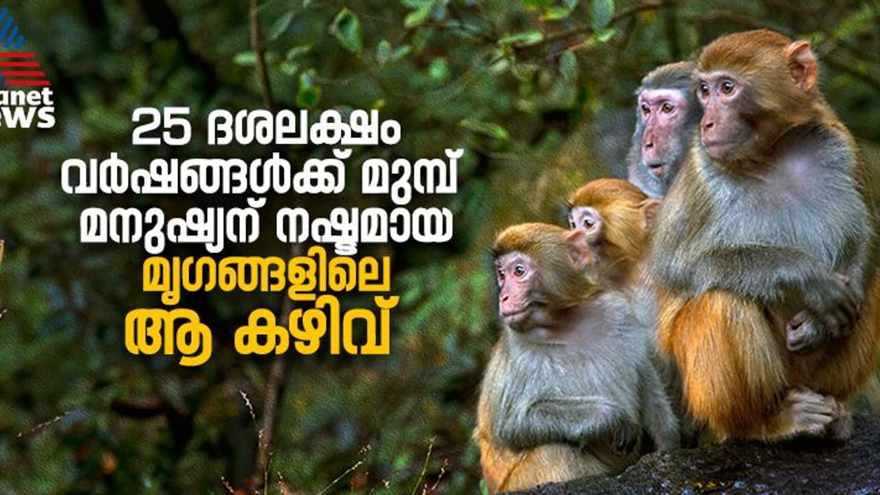 ഇന്നും മൃഗങ്ങളിലുള്ള ആ കഴിവ്, 25 ദശലക്ഷം വർഷങ്ങൾക്ക് മുമ്പ് മനുഷ്യന് നഷ്ടമായതായി ഗവേഷകര് ഇന്നും മൃഗങ്ങളിലുള്ള ആ കഴിവ്, 25 ദശലക്ഷം വർഷങ്ങൾക്ക് മുമ്പ് മനുഷ്യന് നഷ്ടമായതായി ഗവേഷകര്