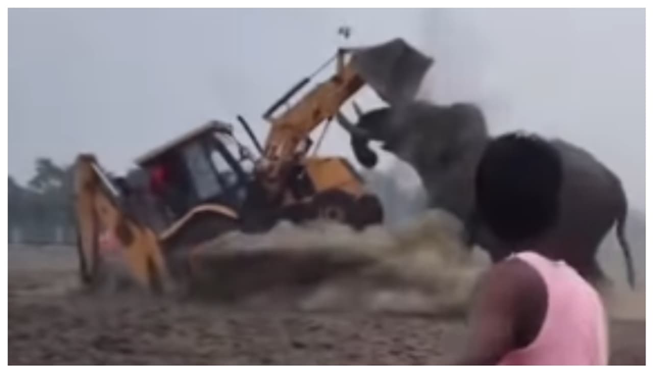 പൊടിപാറിയ പോരാട്ടം; കാട്ടാനയും ജെസിബിയും തമ്മിലുള്ള ഏറ്റുമുട്ടല്‍ വീഡിയോ വൈറല്‍; പിന്നാലെ പോലീസ് കേസ് 