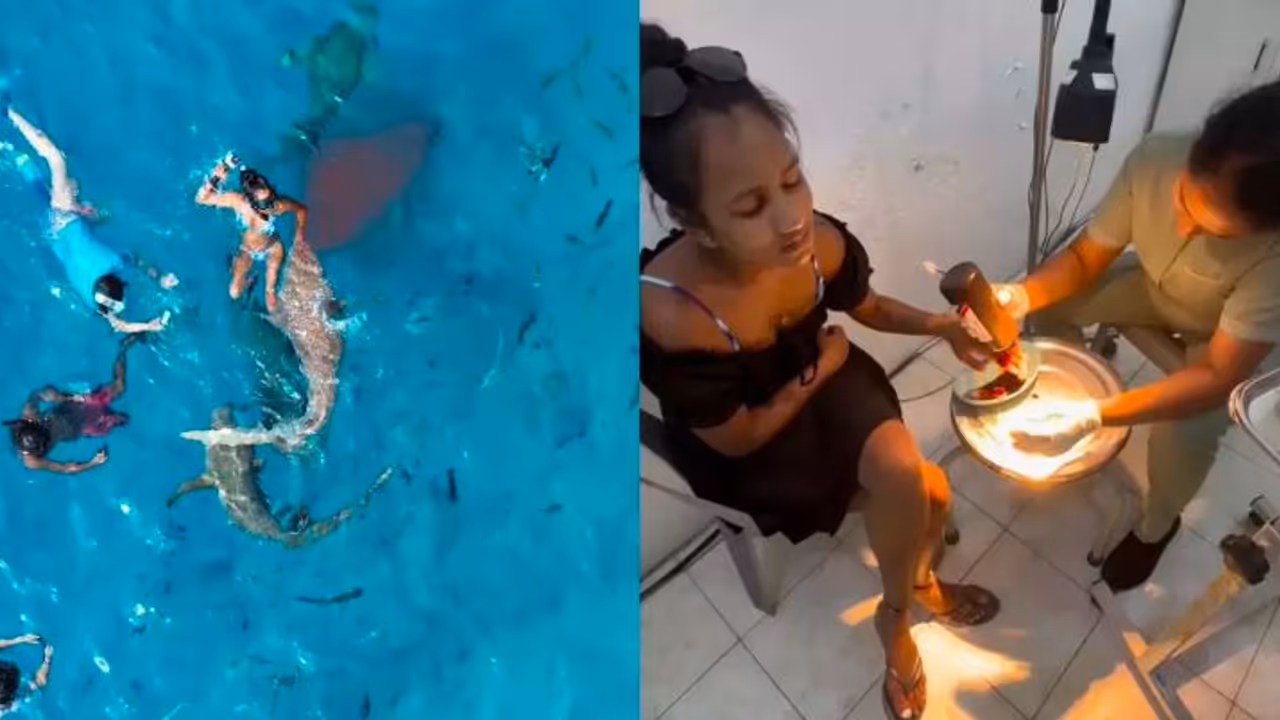 ಸಮುದ್ರದಾಳದಲ್ಲಿ ಈಜುತ್ತಿದ್ದ ಟ್ರಾವೆಲ್ ವ್ಲಾಗರ್ ಕೈ ಬೆರಳು ಕಚ್ಚಿದ ಶಾರ್ಕ್: ವೀಡಿಯೋ ಸಮುದ್ರದಾಳದಲ್ಲಿ ಈಜುತ್ತಿದ್ದ ಟ್ರಾವೆಲ್ ವ್ಲಾಗರ್ ಕೈ ಬೆರಳು ಕಚ್ಚಿದ ಶಾರ್ಕ್: ವೀಡಿಯೋ