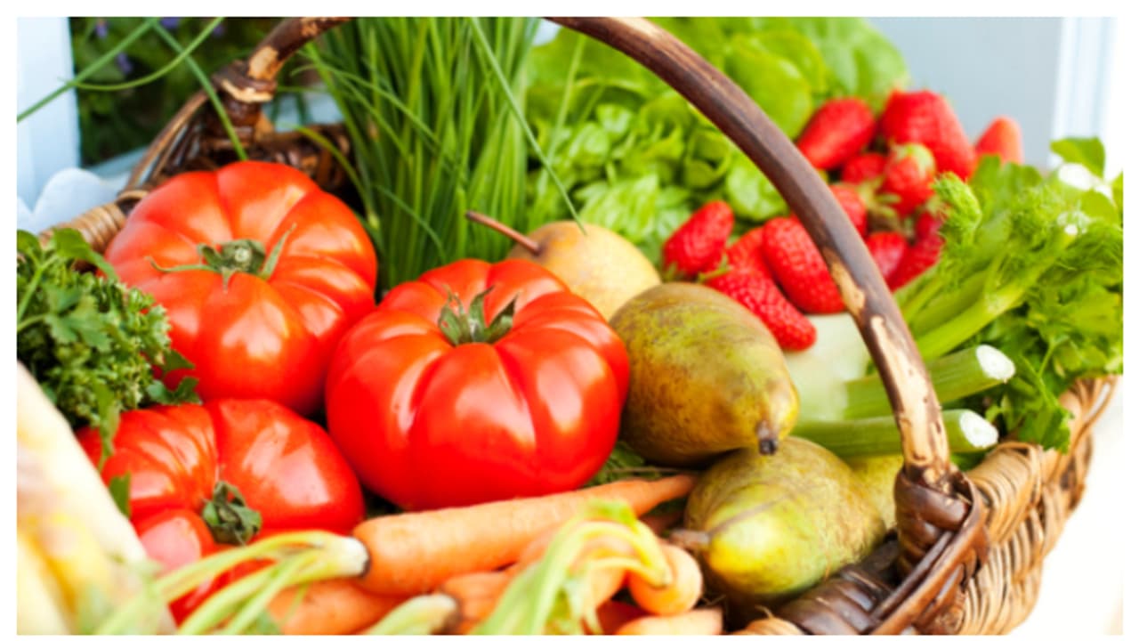 വേനൽക്കാലത്ത് വീട്ടിൽ വളർത്താൻ പറ്റിയ 5 തരം നല്ല ബെസ്റ്റ് പച്ചക്കറികൾ 