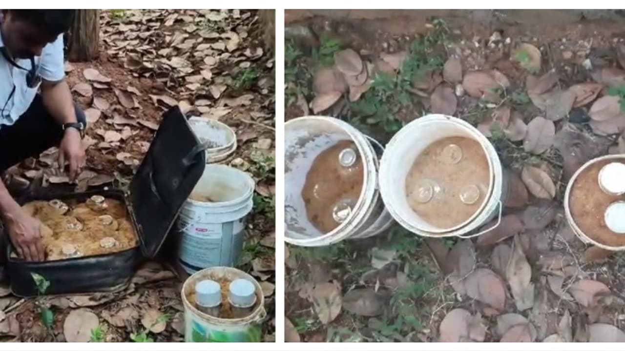 14 സ്റ്റീൽ ബോംബുകൾ, 2 പൈപ്പ് ബോംബുകൾ, വടിവാള്: ചെക്യാട് കലുങ്കിനടിയിൽ സൂക്ഷിച്ച നിലയിൽ ആയുധശേഖരം കണ്ടെത്തി 14 സ്റ്റീൽ ബോംബുകൾ, 2 പൈപ്പ് ബോംബുകൾ, വടിവാള്: ചെക്യാട് കലുങ്കിനടിയിൽ സൂക്ഷിച്ച നിലയിൽ ആയുധശേഖരം കണ്ടെത്തി