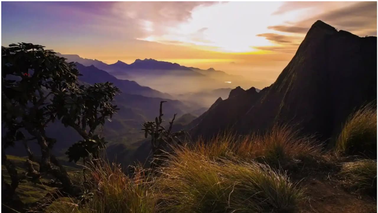 എന്തോ ഇഷ്ടമാണ് എല്ലാവർക്കും! ഇന്ത്യയിലെ 'മോസ്റ്റ് വെല്‍ക്കമിംഗ് റീജിയൻ' പട്ടികയിൽ കേരളത്തിന് മിന്നും നേട്ടം