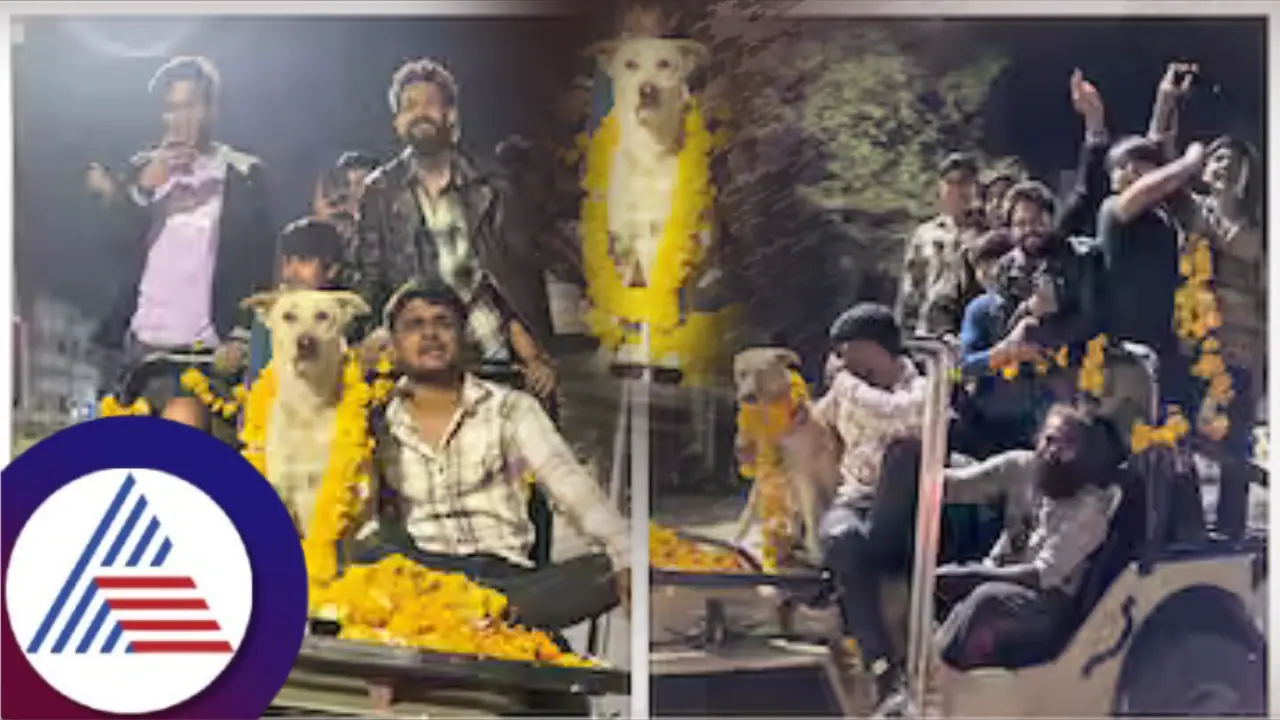 ತೆರೆದ ಜೀಪಿನಲ್ಲಿ ನಾಯಿ ಹುಟ್ಟುಹಬ್ಬ ಆಚರಣೆ; ಈ ನಾಯಿಗೆ ದೊಡ್ಡ ಅಭಿಮಾನಿ ಬಳಗವೇ ಇದೆಯಂತೆ!