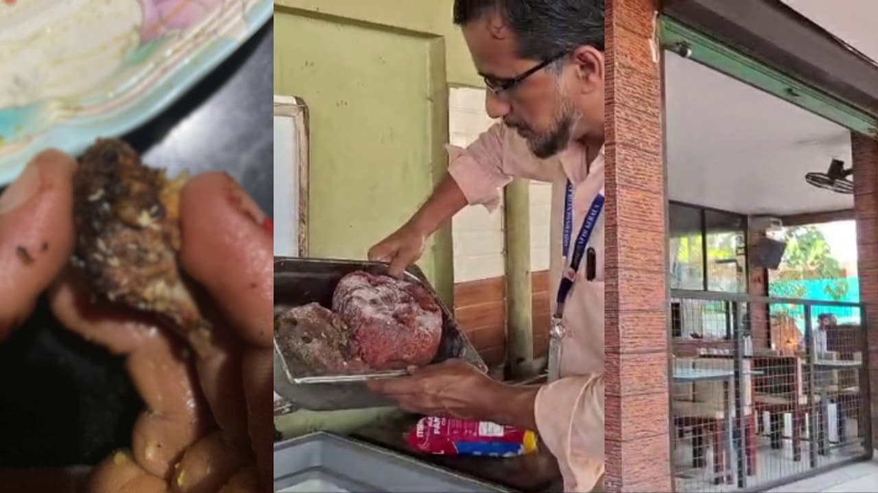 പാഴ്സൽ വാങ്ങിയ അൽഫാമിൽ പുഴുക്കള്, കഴിച്ച വീട്ടുകാര്ക്ക് വയറുവേദന, കാറ്ററിങ് യൂണിറ്റ് പൂട്ടി ആരോഗ്യവകുപ്പ് പാഴ്സൽ വാങ്ങിയ അൽഫാമിൽ പുഴുക്കള്, കഴിച്ച വീട്ടുകാര്ക്ക് വയറുവേദന, കാറ്ററിങ് യൂണിറ്റ് പൂട്ടി ആരോഗ്യവകുപ്പ്