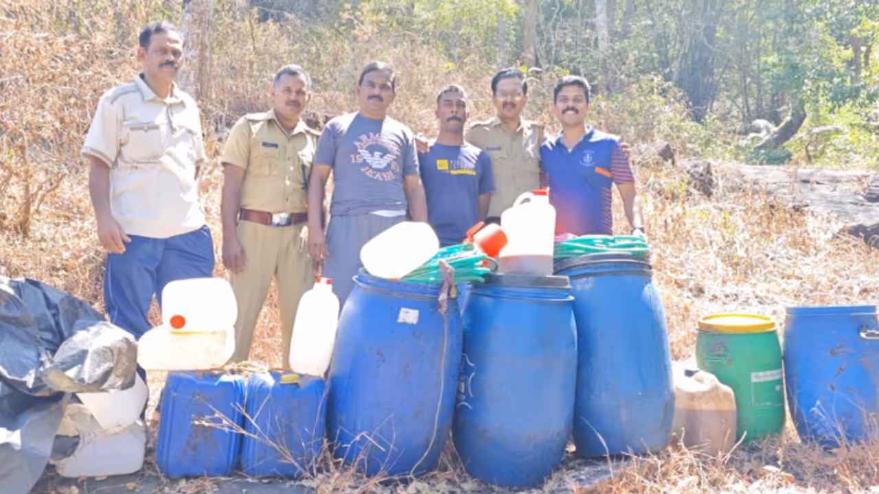 ഉള്ക്കാട്ടിൽ പാറക്കെട്ടുകള്ക്കിടയിൽ പഴവർഗങ്ങളും തെങ്ങിൻ പൂങ്കുലകളും കരിമ്പും; കണ്ടെടുത്തത് 600 ലിറ്റർ വാഷ് ഉള്ക്കാട്ടിൽ പാറക്കെട്ടുകള്ക്കിടയിൽ പഴവർഗങ്ങളും തെങ്ങിൻ പൂങ്കുലകളും കരിമ്പും; കണ്ടെടുത്തത് 600 ലിറ്റർ വാഷ്