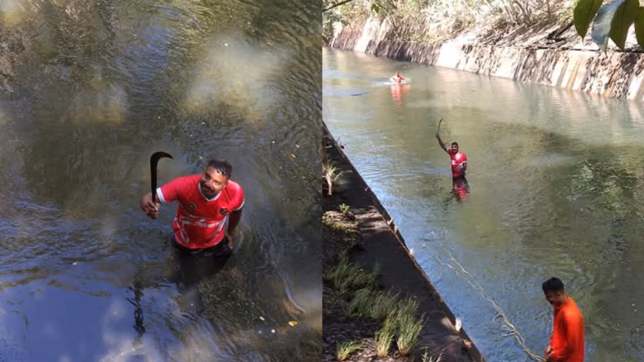 കേടായ പന്നിയിറച്ചി, പായ തുറന്നപ്പോൾ മൃതദേഹം; സാമുവല് കൊലക്കേസിലെ വാക്കത്തി കിട്ടിയത് കനാലില് നിന്ന് കേടായ പന്നിയിറച്ചി, പായ തുറന്നപ്പോൾ മൃതദേഹം; സാമുവല് കൊലക്കേസിലെ വാക്കത്തി കിട്ടിയത് കനാലില് നിന്ന്