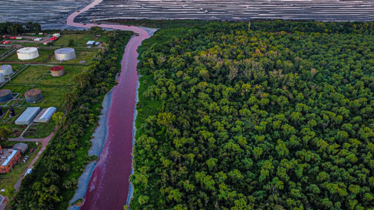 ചോരച്ചുവപ്പ് നിറമായി നദി, വെള്ളത്തിന് പകരം രക്തമൊഴുകും പോലെ, പ്രദേശമാകെ ദുർഗന്ധവും; ഭീതിയിൽ സമീപവാസികൾ ചോരച്ചുവപ്പ് നിറമായി നദി, വെള്ളത്തിന് പകരം രക്തമൊഴുകും പോലെ, പ്രദേശമാകെ ദുർഗന്ധവും; ഭീതിയിൽ സമീപവാസികൾ