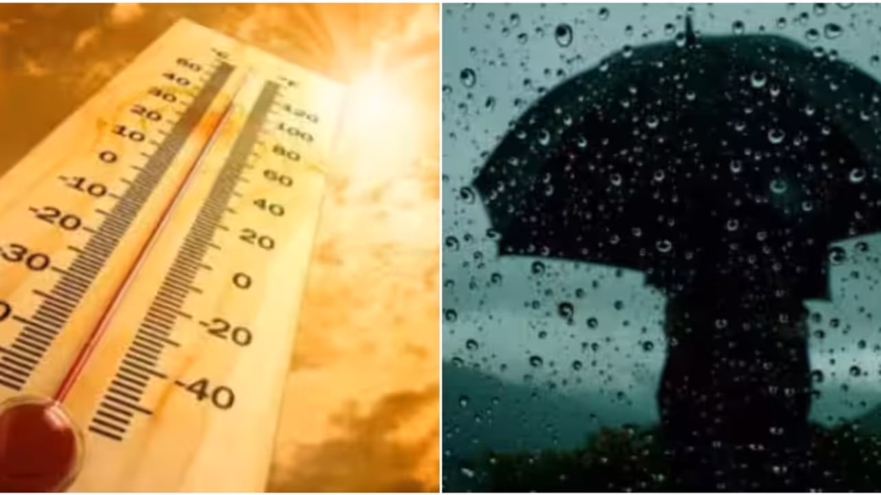 സംസ്ഥാനത്ത് ഇന്നും നാളെയും 3 ഡിഗ്രി സെൽഷ്യസ് വരെ ചൂട് കൂടും; 11ന് മൂന്ന് ജില്ലകളിൽ മഴയ്ക്ക് സാധ്യത സംസ്ഥാനത്ത് ഇന്നും നാളെയും 3 ഡിഗ്രി സെൽഷ്യസ് വരെ ചൂട് കൂടും; 11ന് മൂന്ന് ജില്ലകളിൽ മഴയ്ക്ക് സാധ്യത