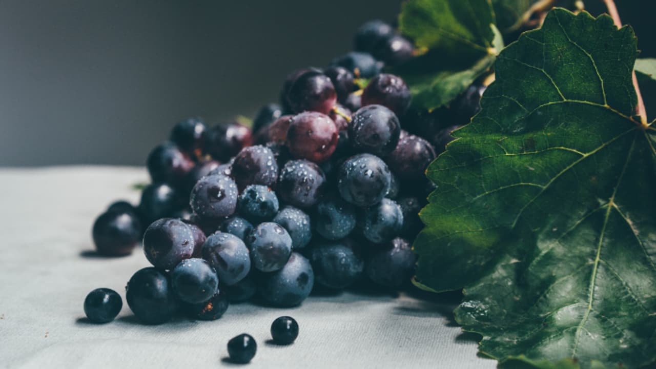 black grapes black grapes