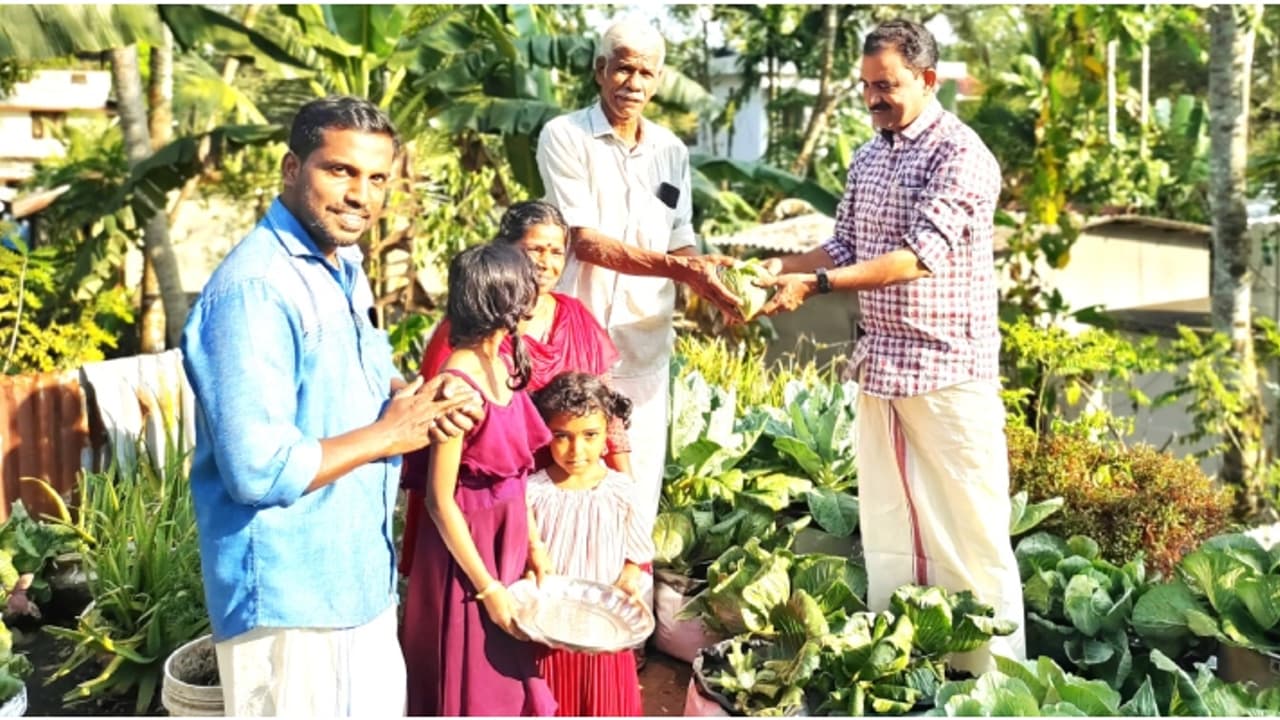 പുരപ്പുറം പച്ചക്കറിത്തോട്ടമാക്കി വീട്ടമ്മ; ശീതകാല കൃഷിയിൽ നൂറുമേനി വിളവ് പുരപ്പുറം പച്ചക്കറിത്തോട്ടമാക്കി വീട്ടമ്മ; ശീതകാല കൃഷിയിൽ നൂറുമേനി വിളവ്