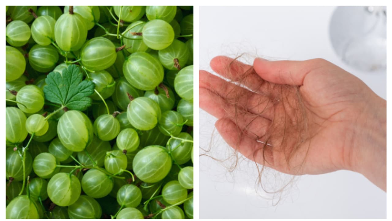 'എവിടെ നോക്കിയാലും മുടി തന്നെ, ഇനിയെന്ത് ചെയ്യും'? വീട്ടിൽ നെല്ലിക്ക ഉണ്ടോ? എന്നാൽ എടുത്ത് ചാമ്പിക്കോ 'എവിടെ നോക്കിയാലും മുടി തന്നെ, ഇനിയെന്ത് ചെയ്യും'? വീട്ടിൽ നെല്ലിക്ക ഉണ്ടോ? എന്നാൽ എടുത്ത് ചാമ്പിക്കോ