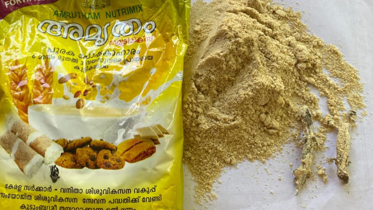 ഇതാണോ കുഞ്ഞുങ്ങൾക്കുള്ള പോഷകാഹാരം? രണ്ട് ദിവസം മുൻപ് അങ്കണവാടിയിൽ നിന്ന് കിട്ടിയ അമൃതം പൊടി പാക്കറ്റിൽ പല്ലി 