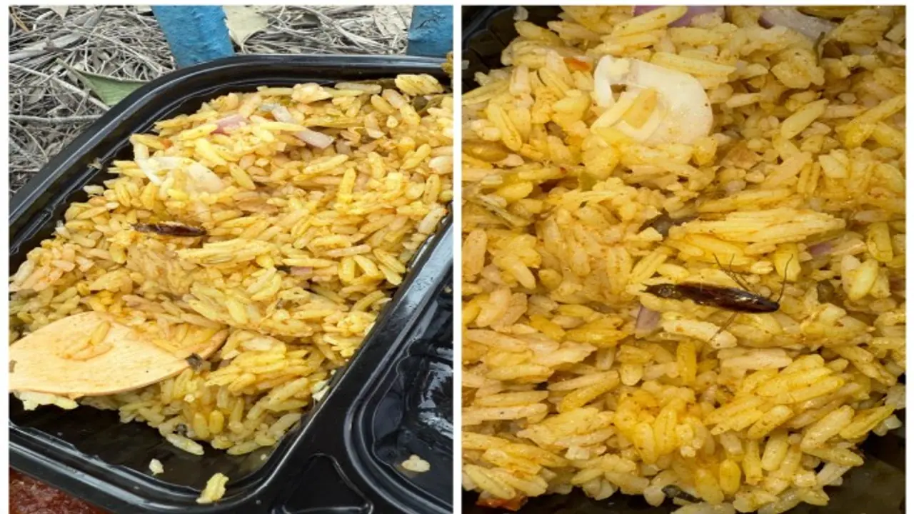 Aero Show 2025: Cockroach found in meal at air show in Bengaluru; pictures go viral