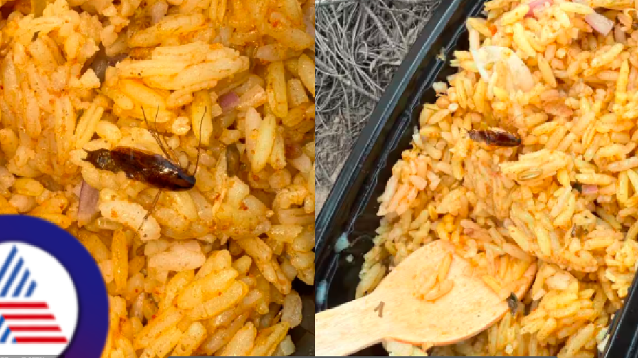 Aero India 2025: ಬೆಂಗಳೂರು ಏರ್‌ಶೋ ಮೊದಲ ದಿನವೇ ಆಹಾರದಲ್ಲಿ ಸತ್ತ ಜಿರಳೆ ಪತ್ತೆ! 