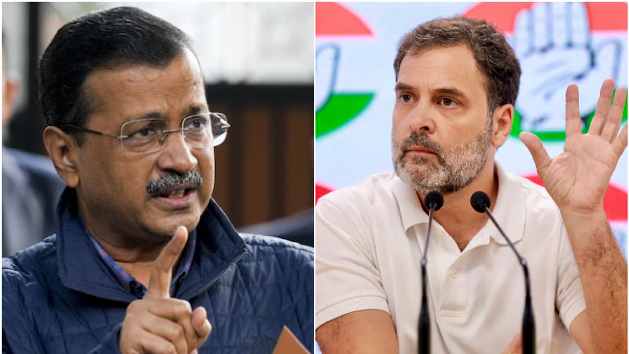 'ഈഗോ തുടർന്നാൽ ദില്ലി ഇനിയും ആവര്ത്തിക്കും', ഇന്ത്യ സഖ്യത്തിൽ ആശങ്ക പങ്കുവച്ച് തൃണമൂൽ, ശിവസേന, എൻസിപി 'ഈഗോ തുടർന്നാൽ ദില്ലി ഇനിയും ആവര്ത്തിക്കും', ഇന്ത്യ സഖ്യത്തിൽ ആശങ്ക പങ്കുവച്ച് തൃണമൂൽ, ശിവസേന, എൻസിപി