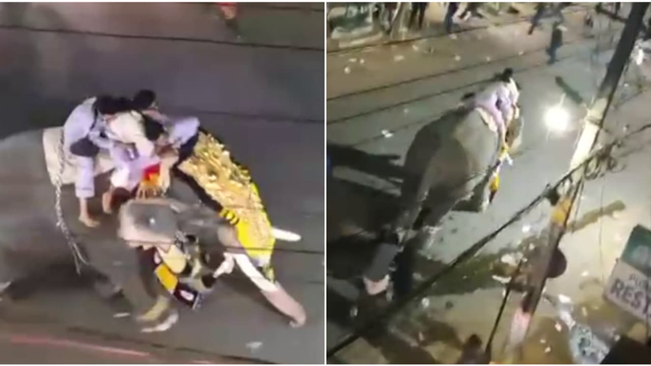 പട്ടാമ്പി നേർച്ചക്കിടെ ആന വിരണ്ടോടി; തിക്കിലും തിരക്കിലും നിരവധി പേർ വീണു, ഗേറ്റ് എടുത്തു ചാടിയയാൾക്ക് പരിക്ക് പട്ടാമ്പി നേർച്ചക്കിടെ ആന വിരണ്ടോടി; തിക്കിലും തിരക്കിലും നിരവധി പേർ വീണു, ഗേറ്റ് എടുത്തു ചാടിയയാൾക്ക് പരിക്ക്