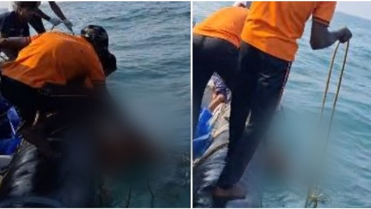 ആലപ്പുഴയില്‍ കടലിൽ നിന്ന് സ്ത്രീയു‌ടെ മൃതദേഹം കണ്ടെത്തി; അഴുകിയ നിലയിലെന്ന് പൊലീസ്