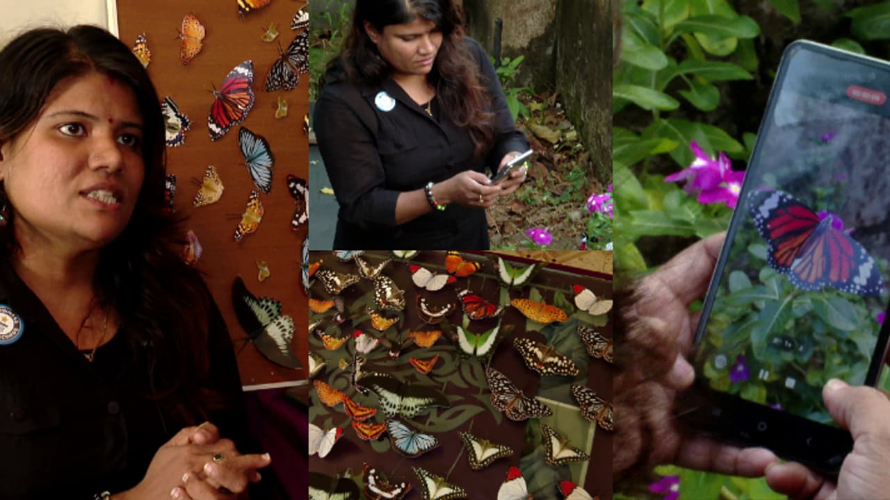 2023 ചിത്രശലഭങ്ങൾ, അപൂർവ നേട്ടവുമായി വിജിത; ഏറ്റവും കൂടുതൽ ചിത്രശലഭങ്ങളുടെ ചിത്രം വെട്ടിയെടുത്ത് റെക്കോർ‍ഡ്