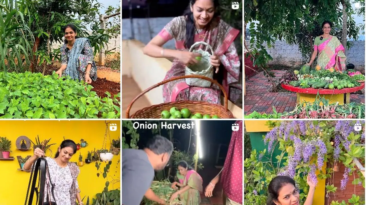 ಜಾಗ ಇಲ್ಲ ಅಂತ ಗಾರ್ಡನ್ ಆಸೆ ಕೈ ಬಿಟ್ಟವರಿಗೆ ಸ್ಫೂರ್ತಿ ಈಕೆ : ತಾರಸಿಯಲ್ಲಿ 500ಕ್ಕೂ ಹೆಚ್ಚು ಹಣ್ಣು, ತರಕಾರಿ ಲೋಕ