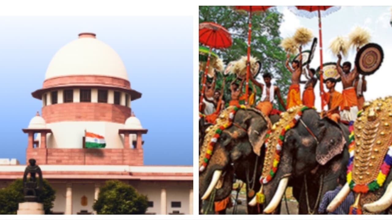 ആന എഴുന്നള്ളത്ത്: ഹൈക്കോടതി ഉത്തരവിനെതിരെ പൂരപ്രേമി സംഘം സുപ്രീം കോടതിയിൽ ആന എഴുന്നള്ളത്ത്: ഹൈക്കോടതി ഉത്തരവിനെതിരെ പൂരപ്രേമി സംഘം സുപ്രീം കോടതിയിൽ