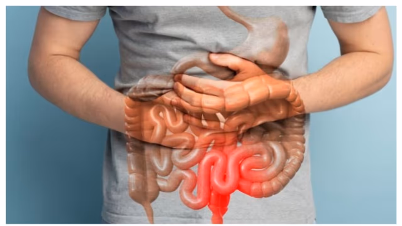 Health Tips : ഈ വിത്ത് കഴിച്ചോളൂ, മലബന്ധ പ്രശ്നം അകറ്റാൻ സഹായിക്കും 