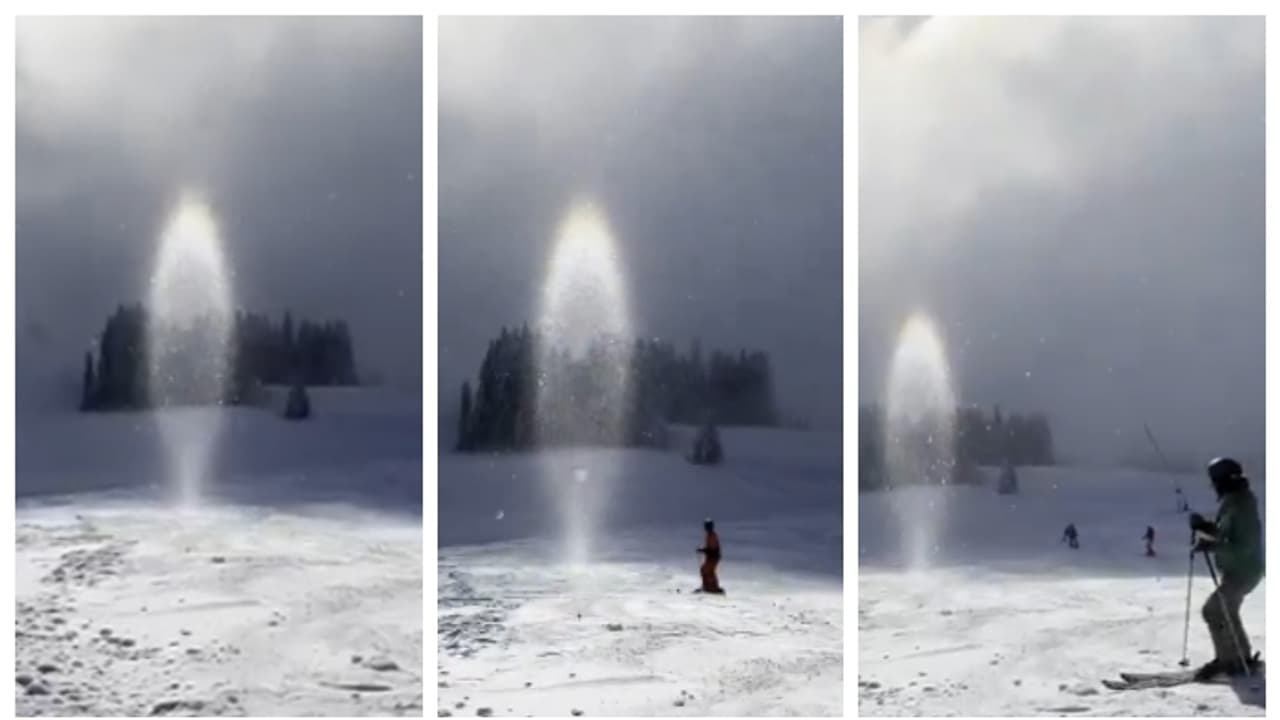 'മണ്ണിൽ വിരിഞ്ഞൊരു മെഴുകുതിരി'; കാരണം സൂര്യന്; കണ്ട് അന്ധാളിച്ച് സോഷ്യൽ മീഡിയ 'മണ്ണിൽ വിരിഞ്ഞൊരു മെഴുകുതിരി'; കാരണം സൂര്യന്; കണ്ട് അന്ധാളിച്ച് സോഷ്യൽ മീഡിയ