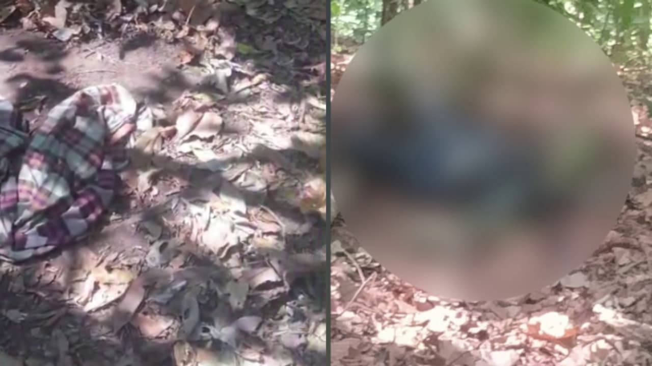 തിരുവനന്തപുരത്തും കാട്ടാന ആക്രമണം; പാലോട് 50 വയസുകാരൻ മരിച്ചത് കാട്ടാനയുടെ ആക്രമണത്തിലെന്ന് സ്ഥിരീകരണം തിരുവനന്തപുരത്തും കാട്ടാന ആക്രമണം; പാലോട് 50 വയസുകാരൻ മരിച്ചത് കാട്ടാനയുടെ ആക്രമണത്തിലെന്ന് സ്ഥിരീകരണം