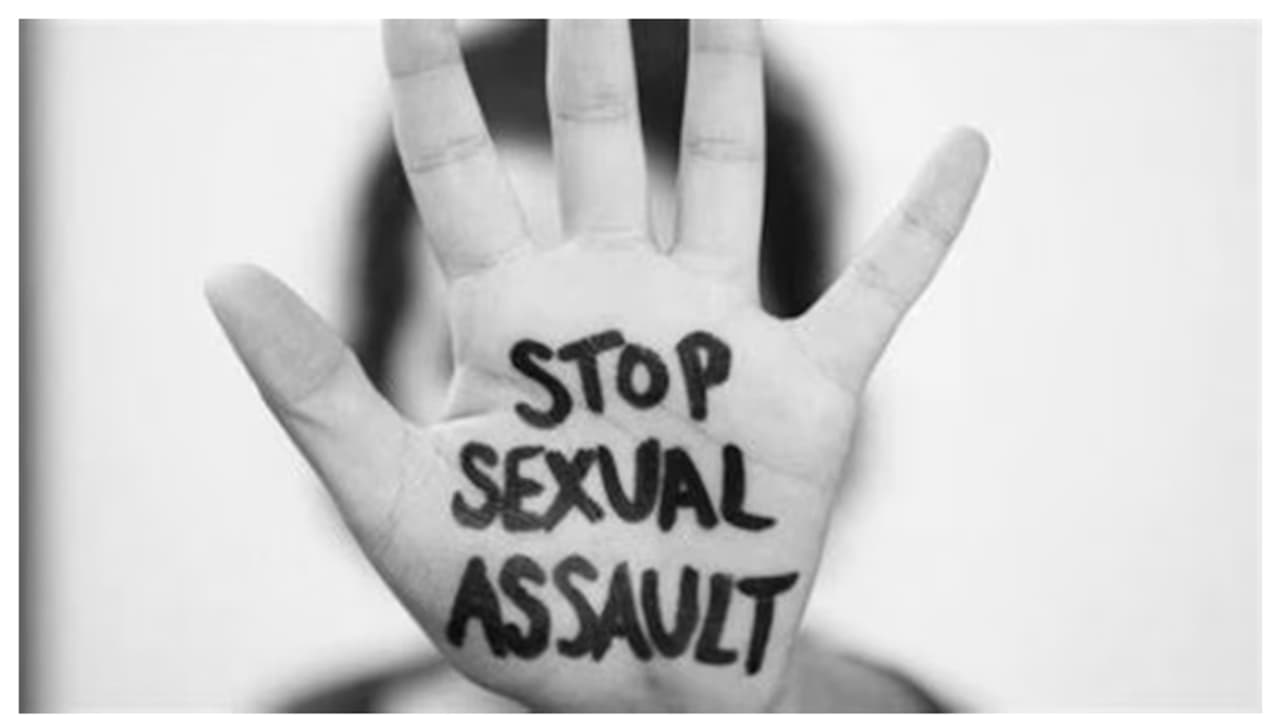 'Touched thighs, butt': Indian origin man arrested for sexually assaulting woman passenger on plane in US