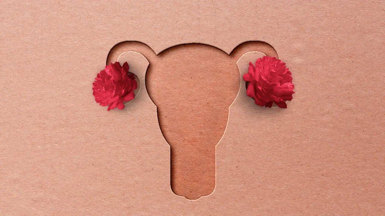 From Period to Ovulation: How hormones influence your immune health From Period to Ovulation: How hormones influence your immune health