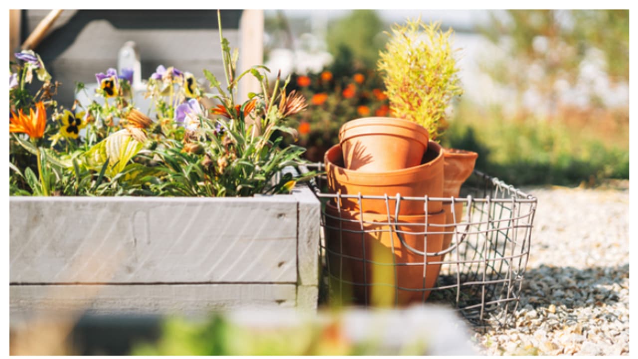 വീട്ടിലൊരു ചെറിയ പൂന്തോട്ടം ആയാലോ? ഇത് ചെയ്ത് നോക്കൂ വീട്ടിലൊരു ചെറിയ പൂന്തോട്ടം ആയാലോ? ഇത് ചെയ്ത് നോക്കൂ